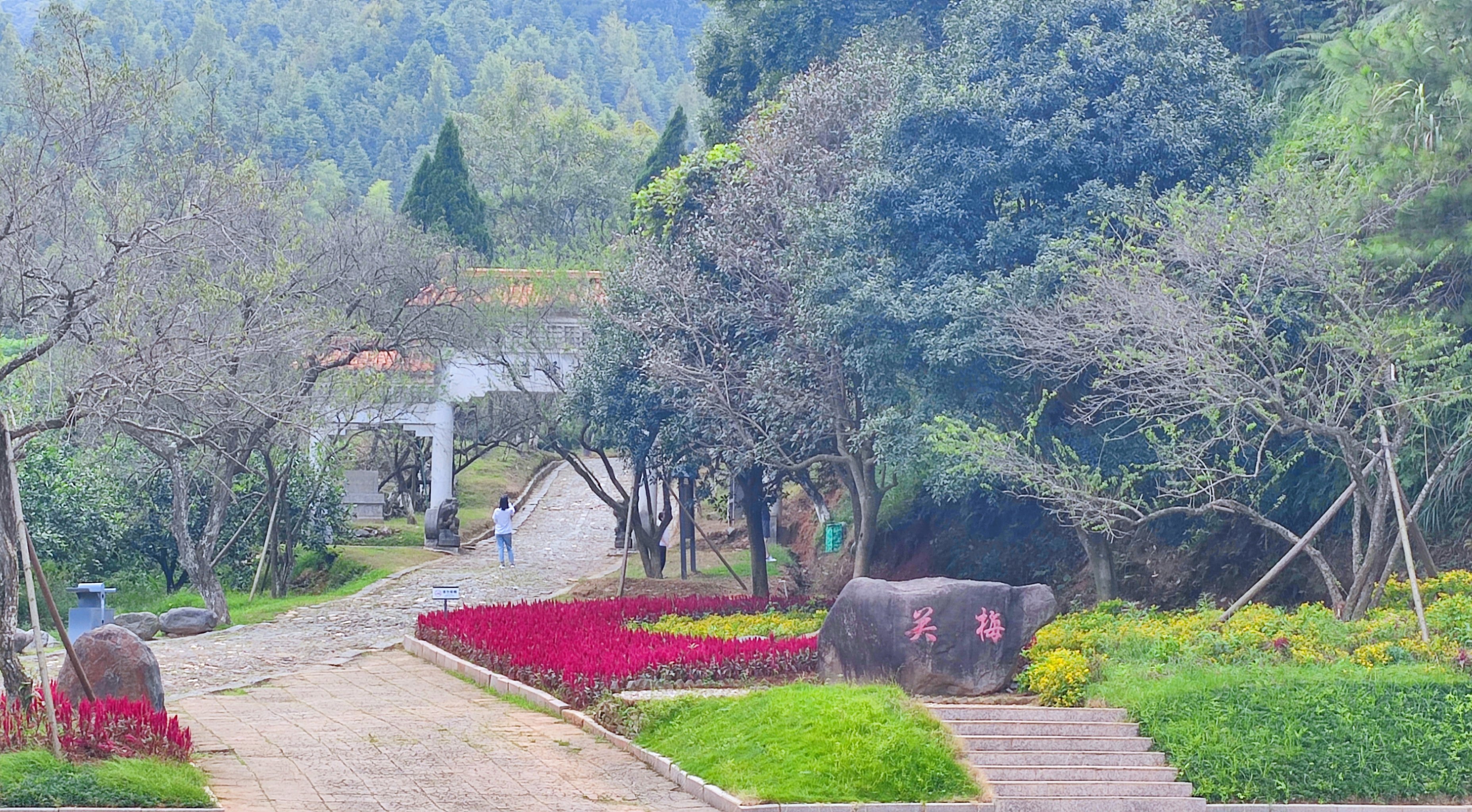 江西大余梅岭风景区图片