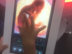 -侏罗纪世界电影特展(广州站)