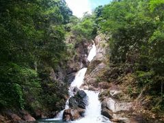 -九龙江国家森林公园