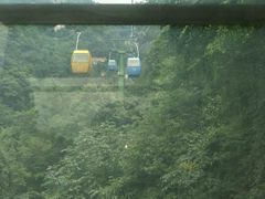 -王顺山国家森林公园