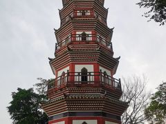 -中山公园(石岐街道)
