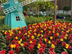 -南宫五洲植物乐园