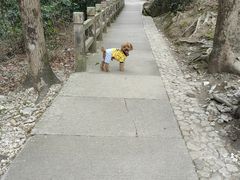 -雁荡山大龙湫景区
