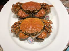 阳澄湖大闸蟹-阳澄湖费尔蒙酒店颐丰阁中餐厅(马鞍山西路店)