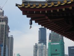 -新加坡佛牙寺龙华院