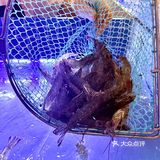 在长春挖到活虾宝藏店！鲜到跺脚！