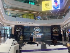 -合景·悠方(成都店)