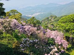 -梧桐山风景名胜区
