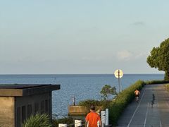 -贡湖湾湿地公园