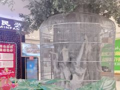 -东四民芳餐厅(世茂工三店)