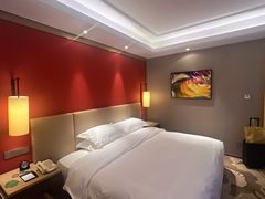 -南京维景国际大酒店(南京博物院店)