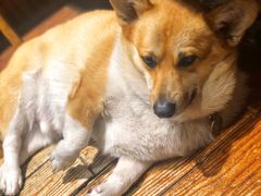 -阿木舂记·特色小吃(平江路店)