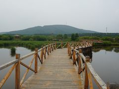 -御道口草原森林风景区
