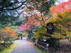 -醍醐寺