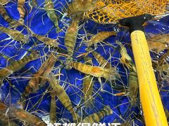 -79号渔船海鲜饭店(华强北店)