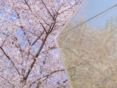 -龙美术馆(西岸馆)
