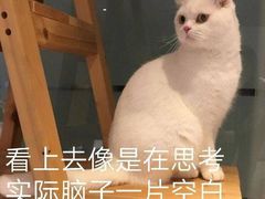 -八角锄烧·肉火锅(天河城店)