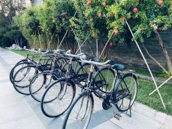 -颐和宾馆宴会厅