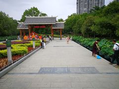 -金山公园