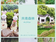 -上海共青森林公园