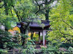 -阿育王寺