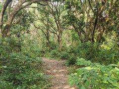 -燕晗山郊野公园
