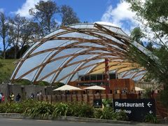 Waitomo&nbsp;Glowworm&nbsp;Caves-怀托摩萤火虫洞