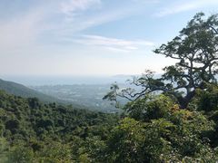 -亚龙湾热带天堂森林公园