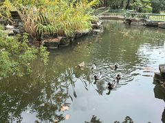 -东湖落雁景区