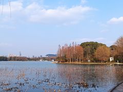 -宝界山林公园