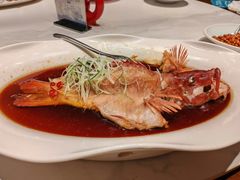 -新海渔港·胶东海鲜家常菜·家宴(奥体中心店)