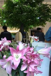 -OnHair Salon