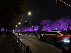 -西北湖绿化广场