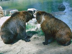 -北京野生动物园