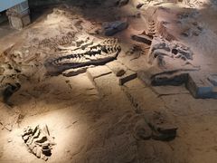 -自贡恐龙博物馆