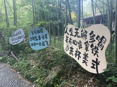 -山沟沟景区