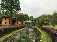-井冈山风景名胜区