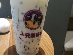 -一只酸奶牛(八一路店)