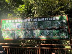 -西双版纳原始森林公园
