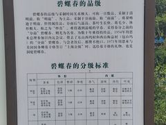 -协和菜馆(凤凰街店)