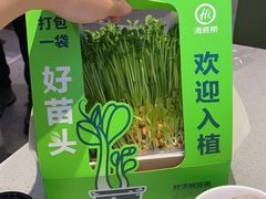 -海底捞火锅(吾悦广场店)