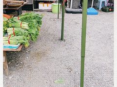-广州市帽峰山景区
