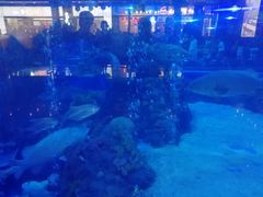 -成都浩海立方海洋公园