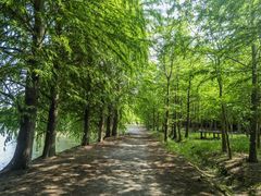 -上海海湾国家森林公园