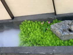 -爱儿美儿童摄影(五路居花园别墅店)