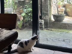 -老屋咖啡