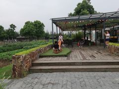 -田园东方蜜桃村的田野营地