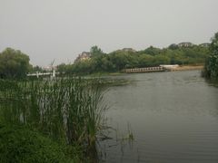 -新江湾城公园