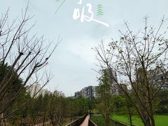 -沐仙湖湿地公园