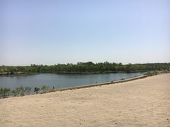 -东郊湿地公园